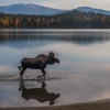 demo-moose-lake-unsplash